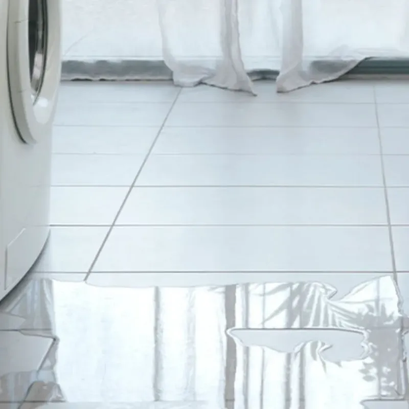 Appliance Leak Cleanup in Cumberland County, IL