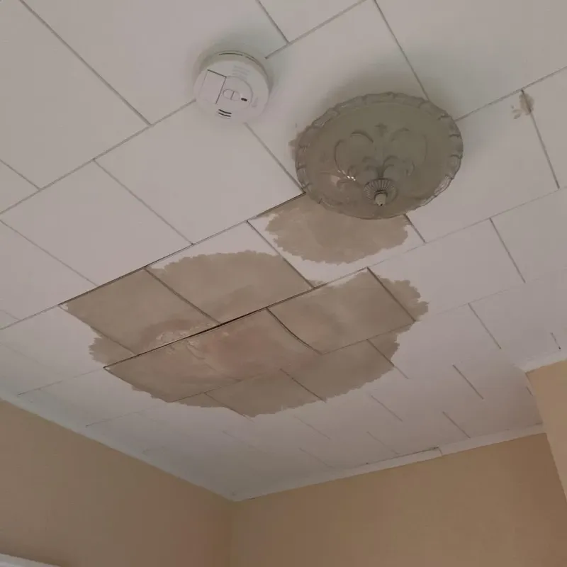 Ceiling Water Damage Repair in Cumberland County, IL