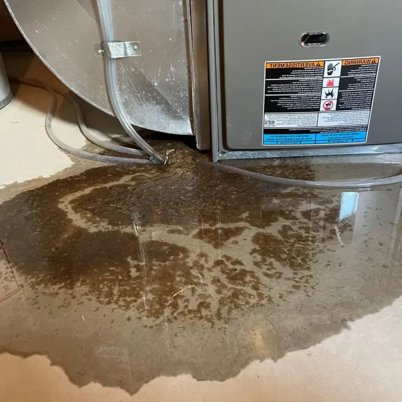 Pipe Burst and Leak Restoration in Cumberland County, IL