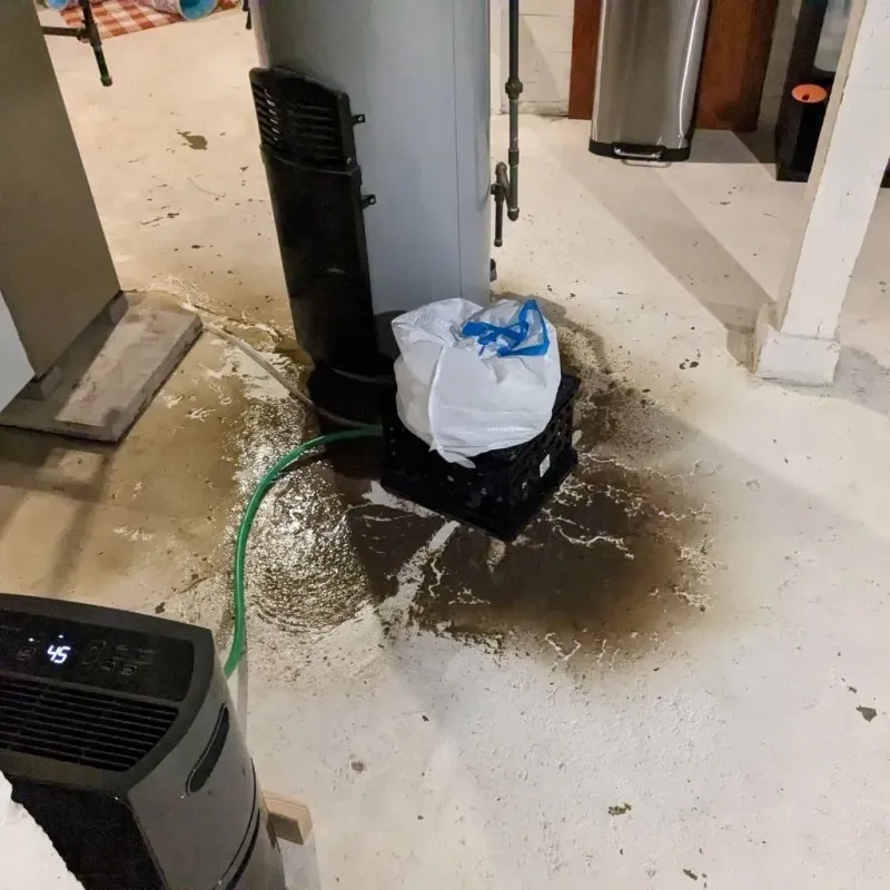 Sewage Backup Cleanup Service in Cumberland County, IL